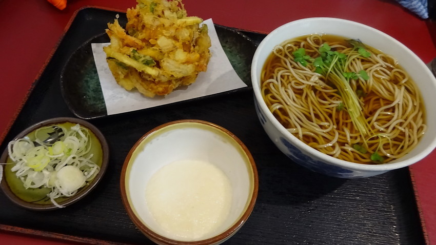 f:id:shioshiohida:20210515141907j:plain