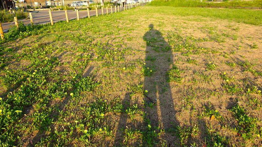 f:id:shioshiohida:20210522181011j:plain