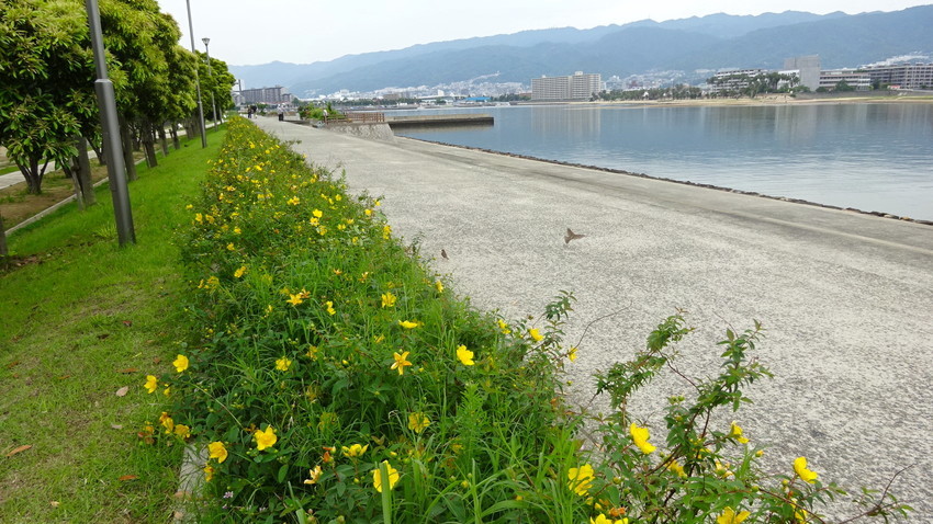 f:id:shioshiohida:20210524101208j:plain