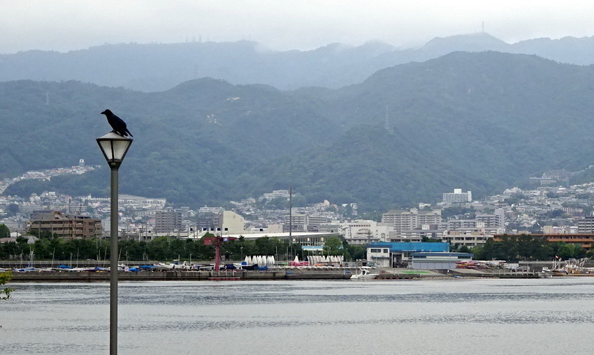 f:id:shioshiohida:20210613180109j:plain