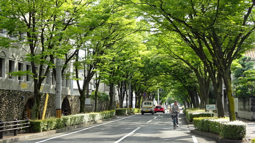 f:id:shioshiohida:20210703163113j:plain
