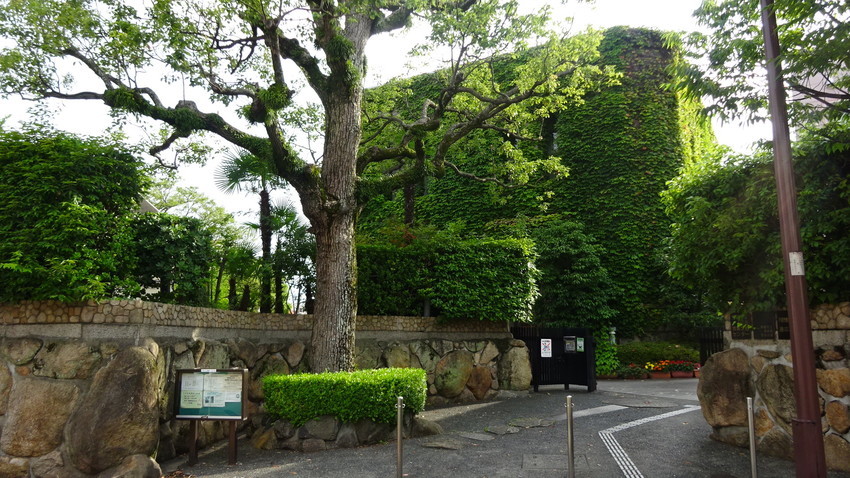 f:id:shioshiohida:20210703163245j:plain