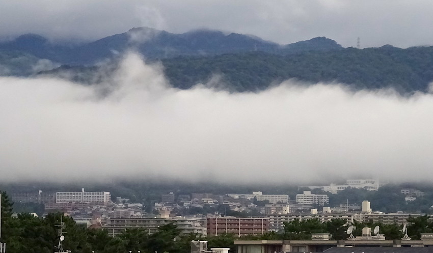 f:id:shioshiohida:20210707183153j:plain