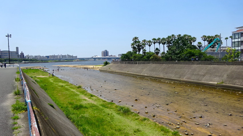 f:id:shioshiohida:20210711111431j:plain