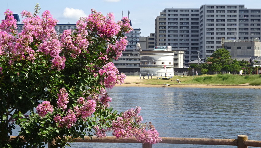 f:id:shioshiohida:20210725091640j:plain