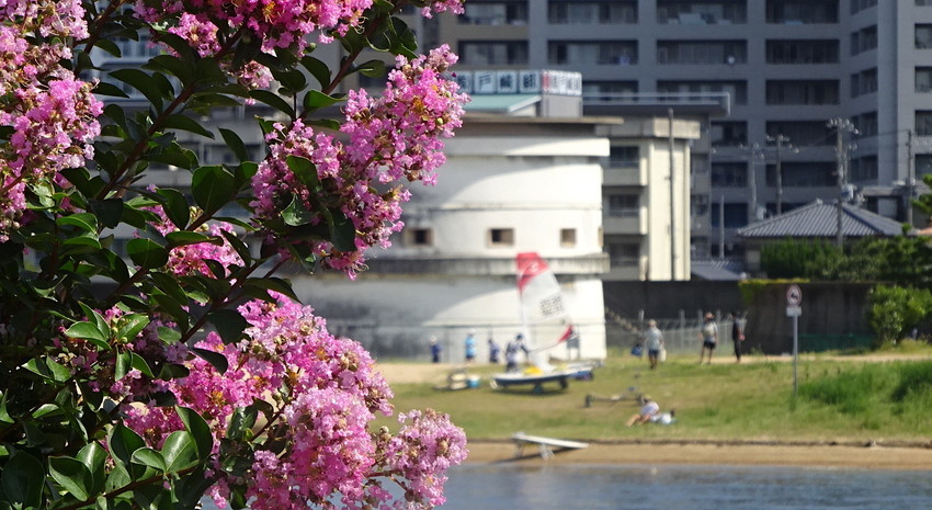 f:id:shioshiohida:20210725091704j:plain