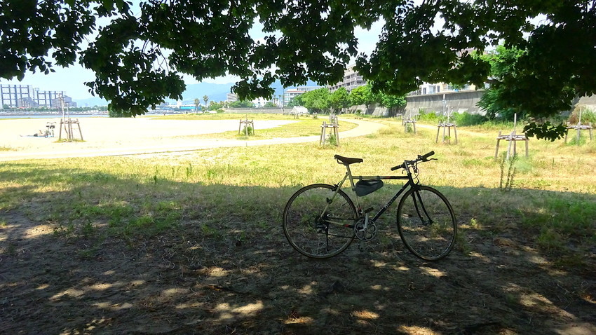 f:id:shioshiohida:20210802112312j:plain