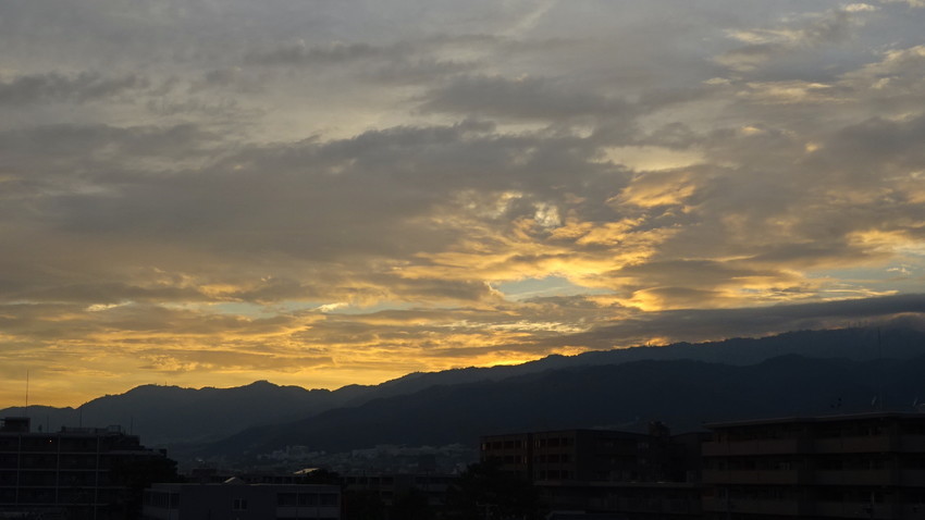 f:id:shioshiohida:20210803184740j:plain