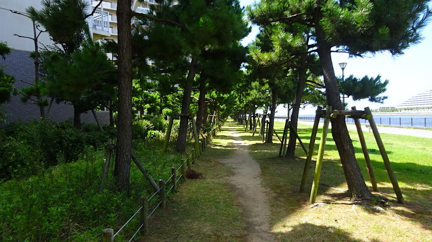 f:id:shioshiohida:20210810104011j:plain