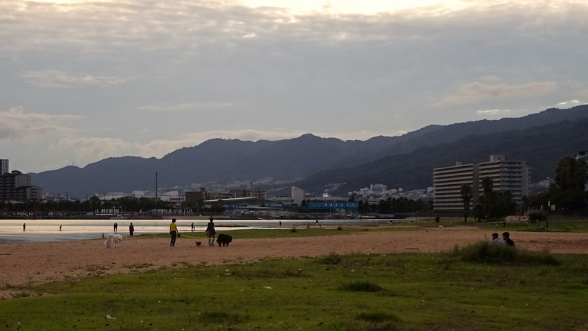 f:id:shioshiohida:20210815184826j:plain