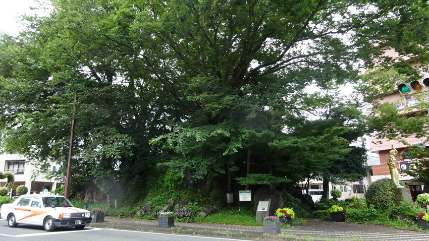 f:id:shioshiohida:20210820124806j:plain
