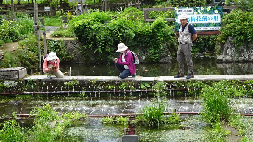 f:id:shioshiohida:20210820130431j:plain