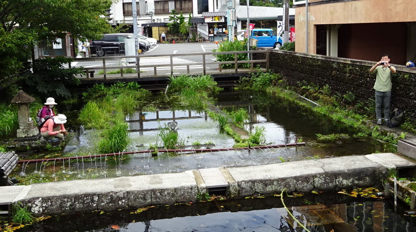 f:id:shioshiohida:20210820130641j:plain