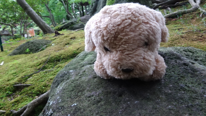 f:id:shioshiohida:20210820141740j:plain