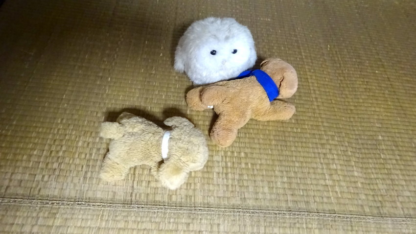 f:id:shioshiohida:20210921121243j:plain