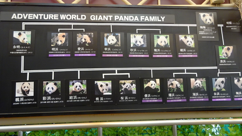 f:id:shioshiohida:20211008151253j:plain