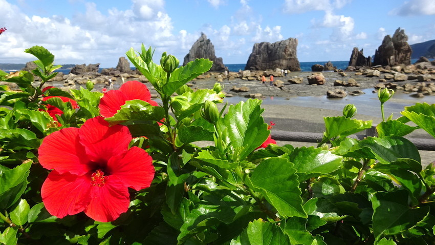 f:id:shioshiohida:20211009125635j:plain