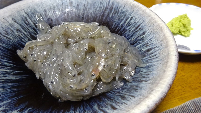 f:id:shioshiohida:20211010200805j:plain