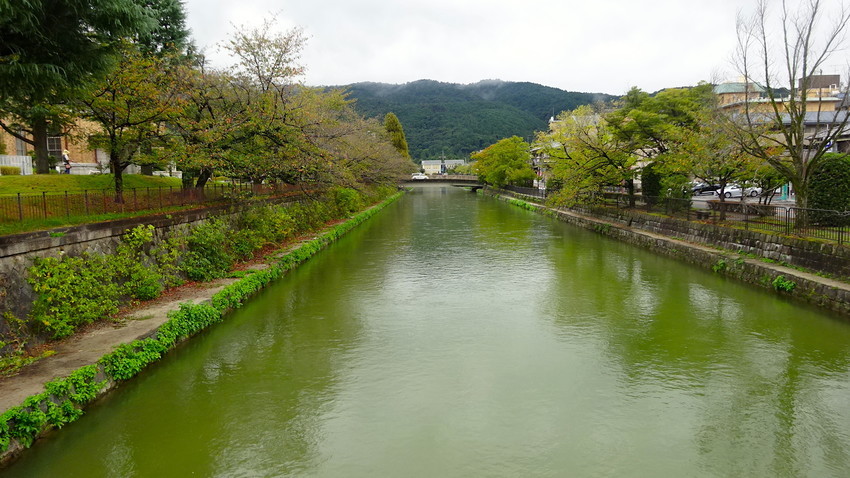 f:id:shioshiohida:20211012080028j:plain