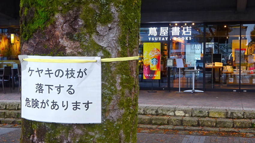 f:id:shioshiohida:20211012081706j:plain