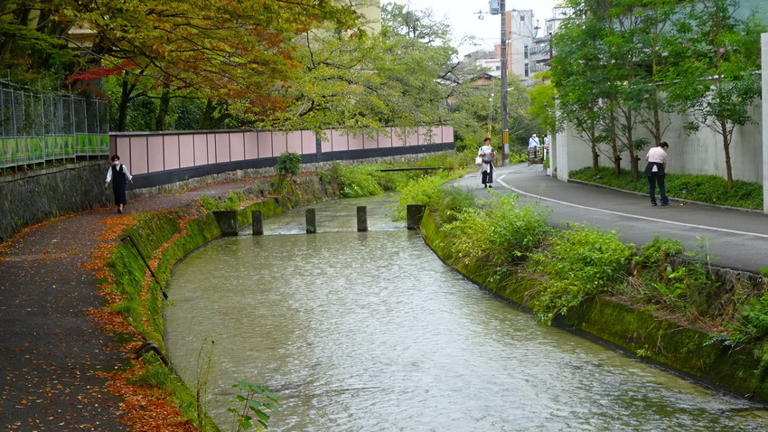 f:id:shioshiohida:20211012091322j:plain