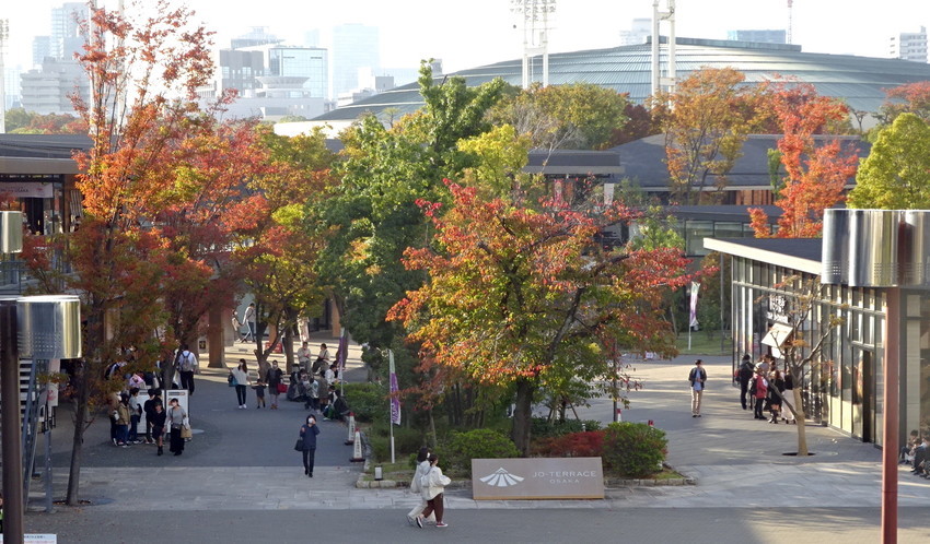f:id:shioshiohida:20211103152459j:plain