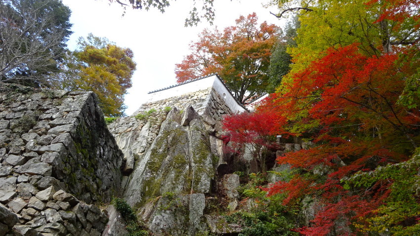 f:id:shioshiohida:20211105121844j:plain
