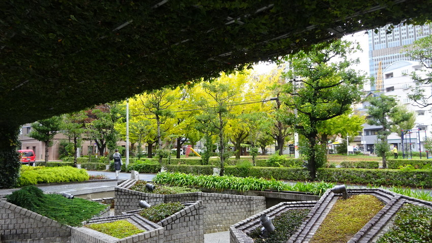 f:id:shioshiohida:20211111101329j:plain