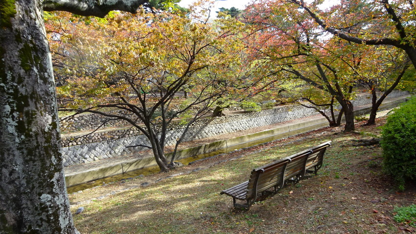 f:id:shioshiohida:20211112130648j:plain