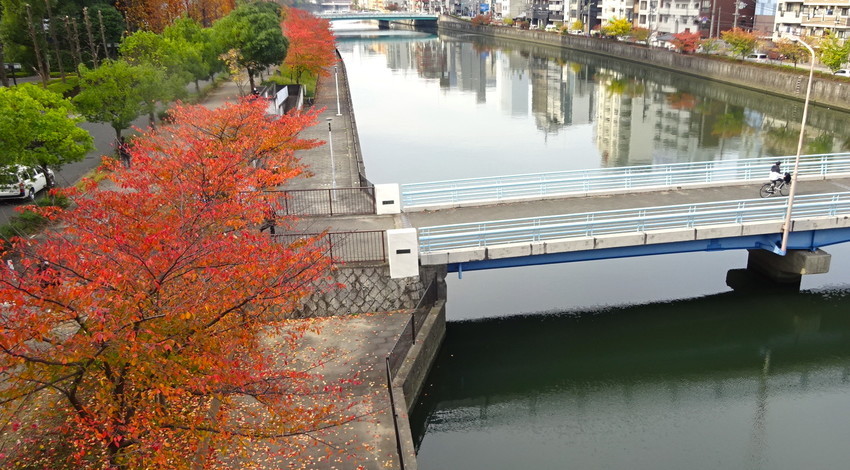 f:id:shioshiohida:20211118094617j:plain