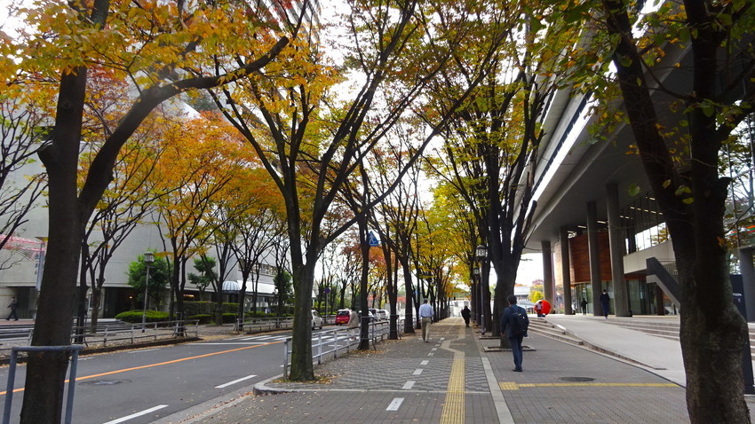 f:id:shioshiohida:20211118095218j:plain