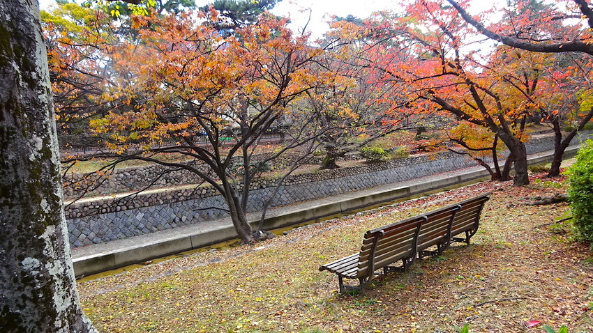 f:id:shioshiohida:20211123101918j:plain