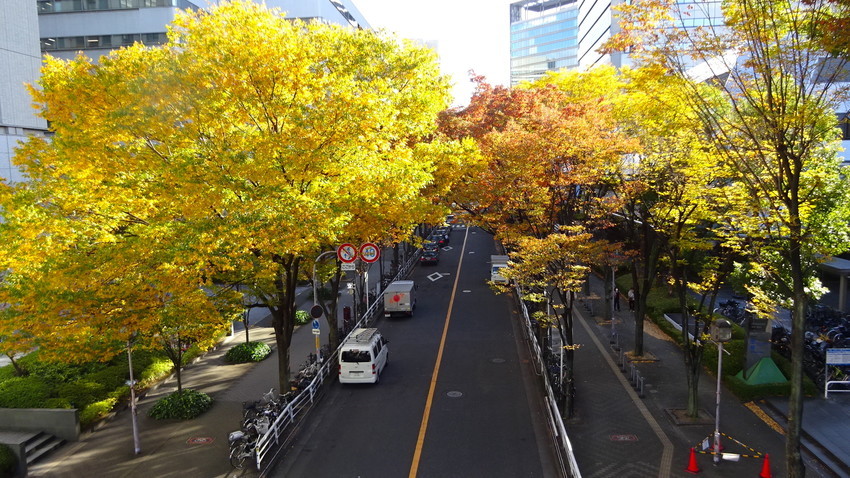 f:id:shioshiohida:20211124143335j:plain