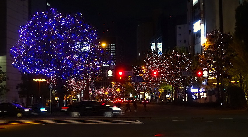 f:id:shioshiohida:20211124192222j:plain