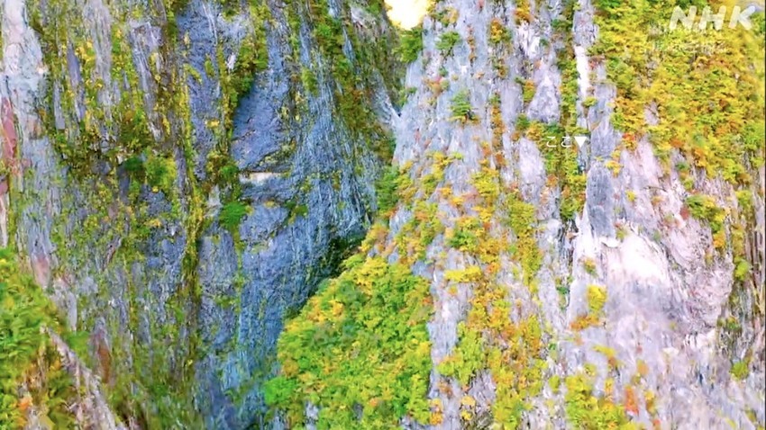 f:id:shioshiohida:20211127125203j:plain
