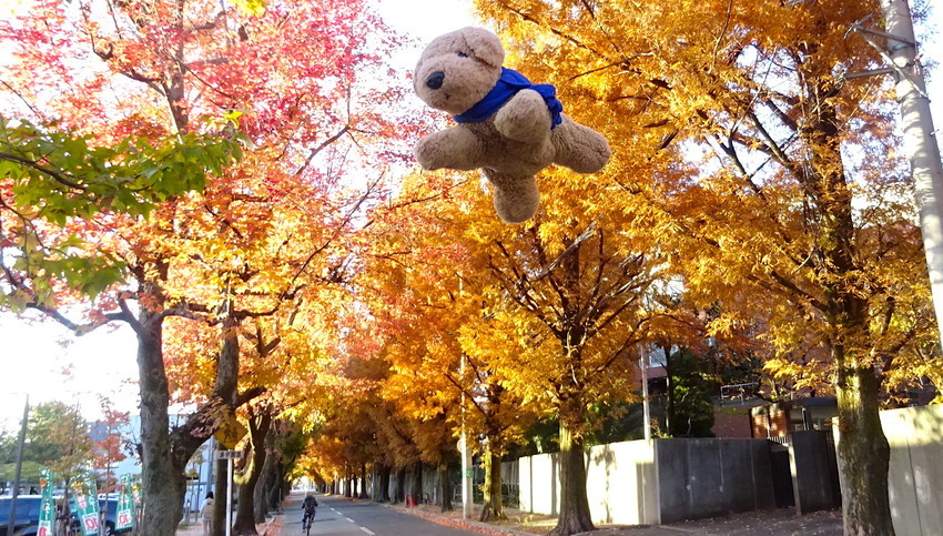 f:id:shioshiohida:20211127155535j:plain