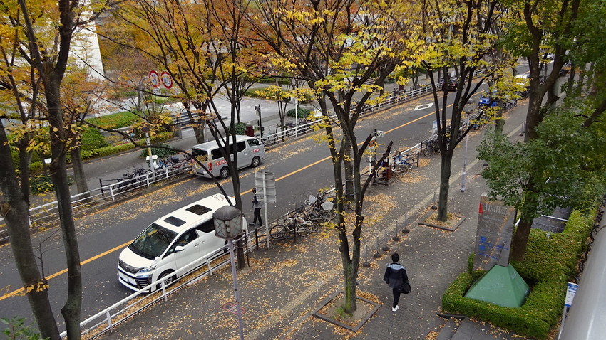f:id:shioshiohida:20211130151200j:plain