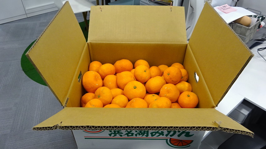 f:id:shioshiohida:20211130152021j:plain