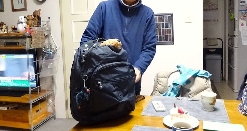 f:id:shioshiohida:20211130212150j:plain