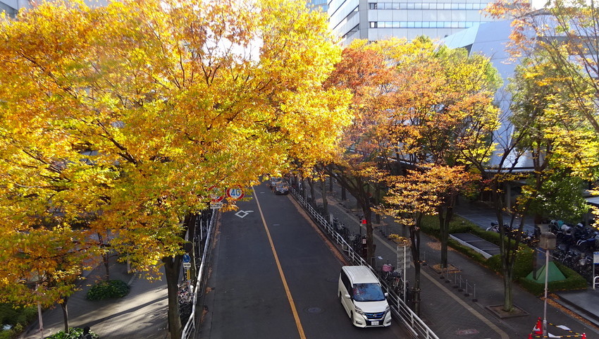 f:id:shioshiohida:20211201142119j:plain
