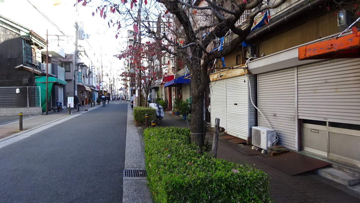 f:id:shioshiohida:20211202142919j:plain