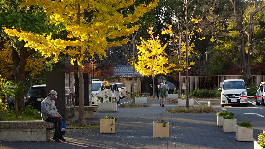 f:id:shioshiohida:20211202153958j:plain