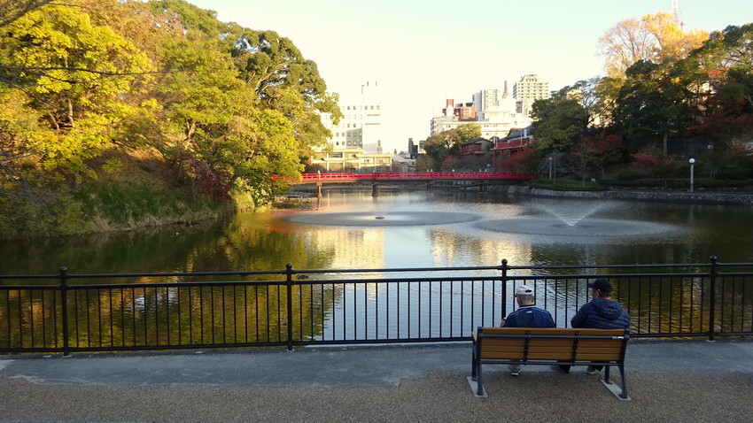 f:id:shioshiohida:20211202160537j:plain