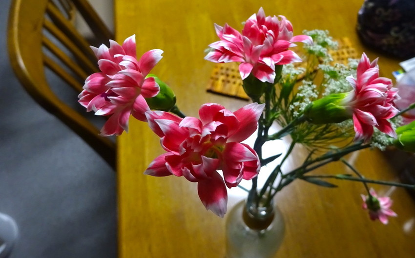 f:id:shioshiohida:20211202184408j:plain