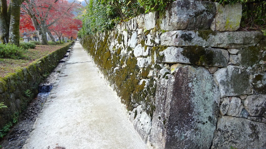 f:id:shioshiohida:20211203133730j:plain