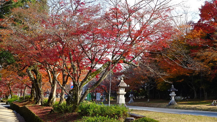 f:id:shioshiohida:20211203133941j:plain