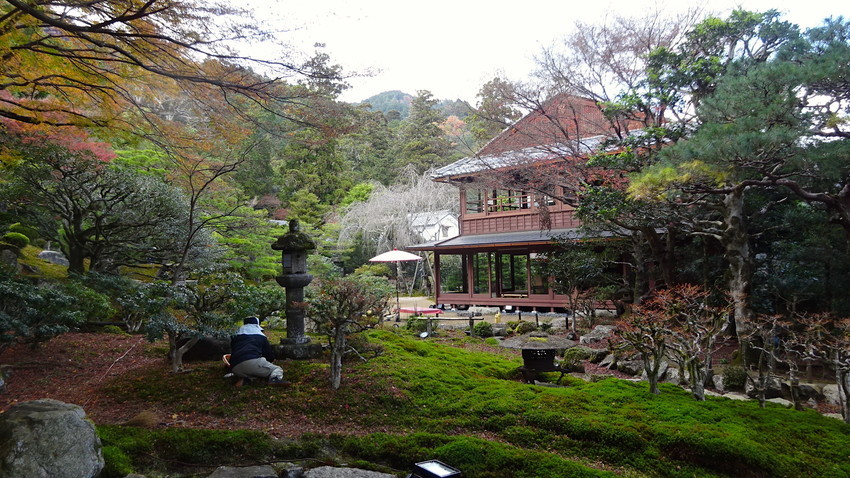 f:id:shioshiohida:20211203140040j:plain