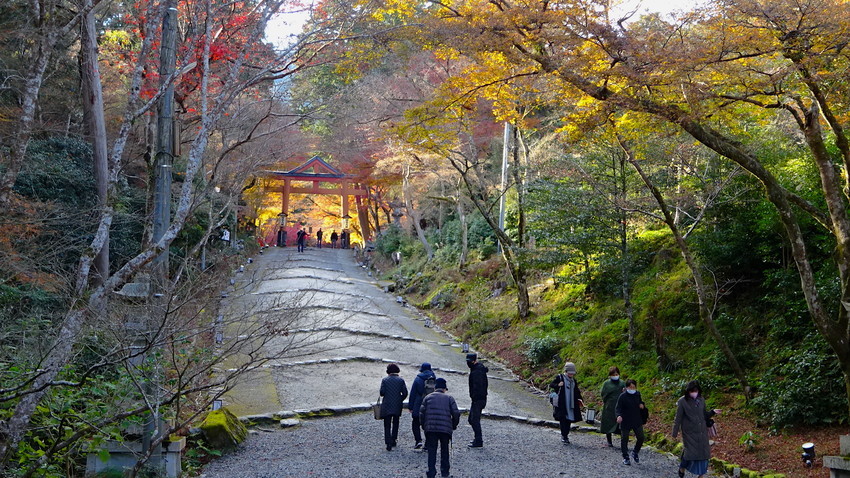 f:id:shioshiohida:20211203141024j:plain