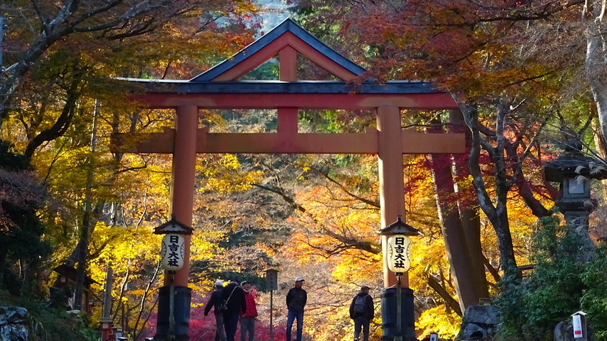 f:id:shioshiohida:20211203141039j:plain