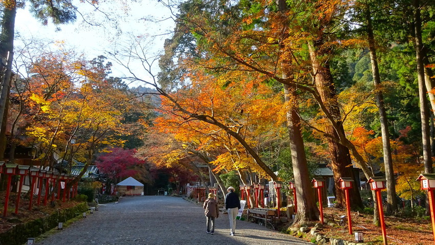 f:id:shioshiohida:20211203141306j:plain